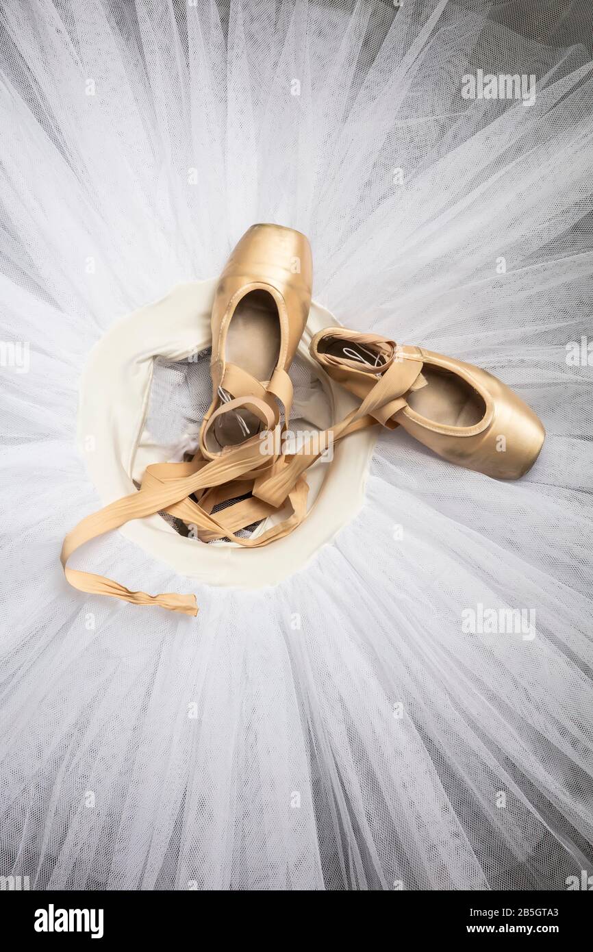 Ballet shoes and tutu best sale