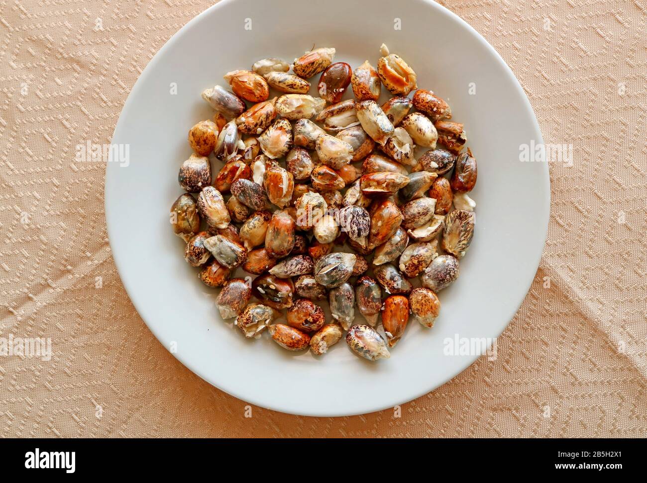 Plate of Andean Toasted Chulpe Corn Kernel with Salt Call Cancha Stock Photo