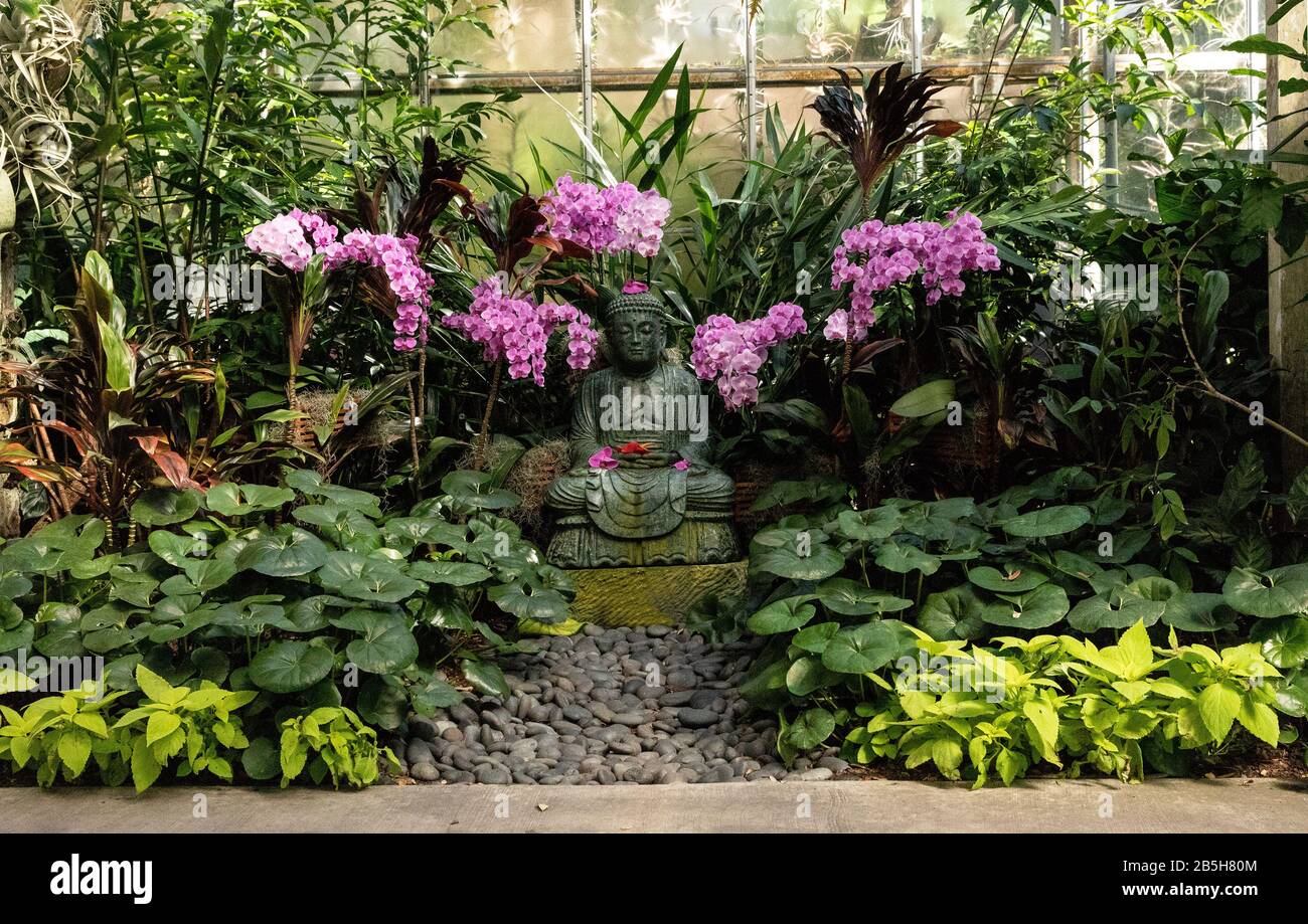 Sarasota, Florida, USA February 29, 2020 Statue of Buddha with