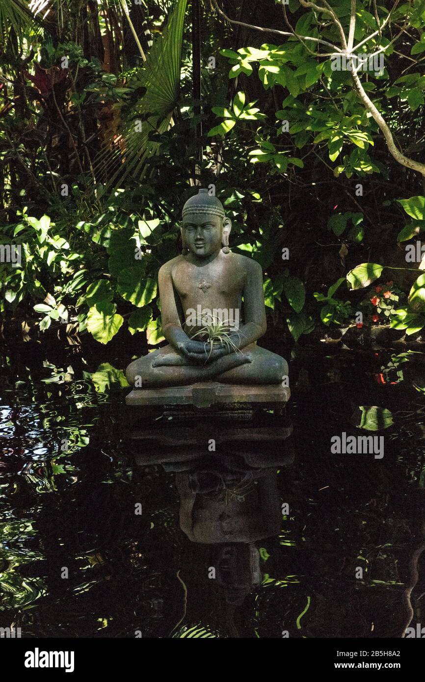 Sarasota, Florida, USA February 29, 2020 Reflection of Buddha statue