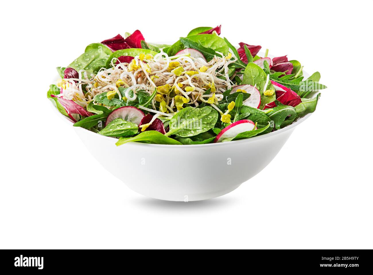 Healthy green salad meal with alfalfa sprouts isolated on white background Stock Photo