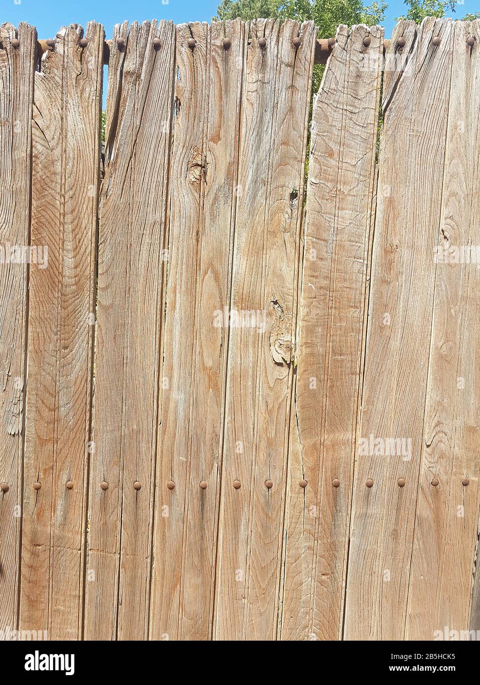 a background with wooden boards Stock Photo