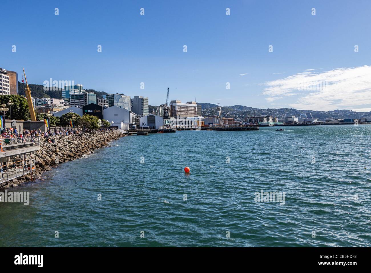 View of Dragon Boat Race Day and Wellington City Skyline Stock Photo