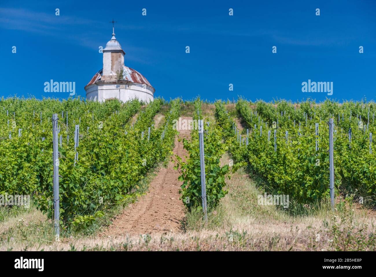 Vineyard, chapel on top of hill, Tokaj wine region, Northern Uplands, Borsod-Abauj-Zemplen county, Hungary Stock Photo