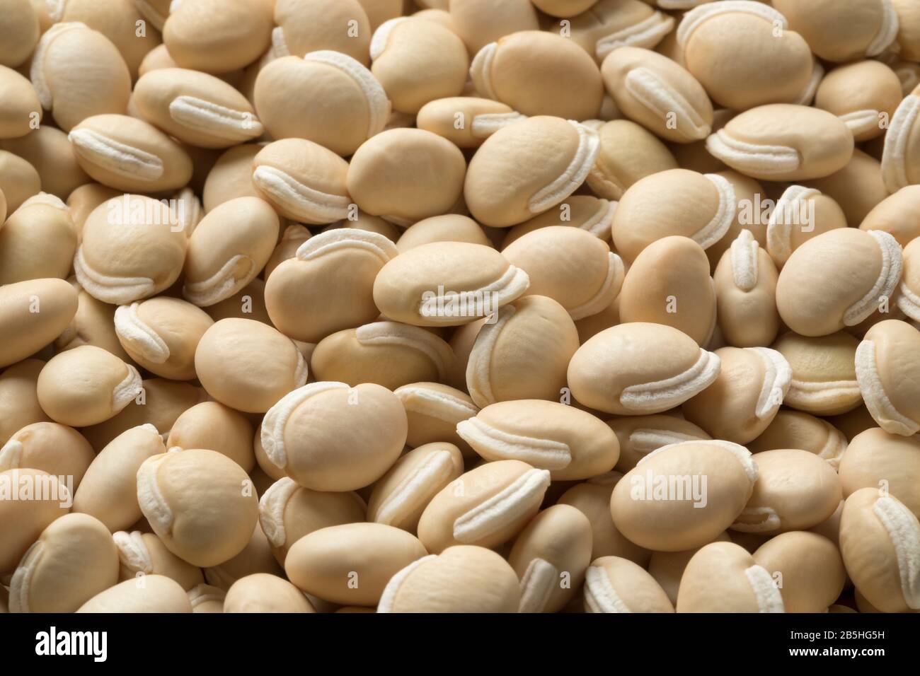 Background of dried Hyacinth beans close up full frame Stock Photo