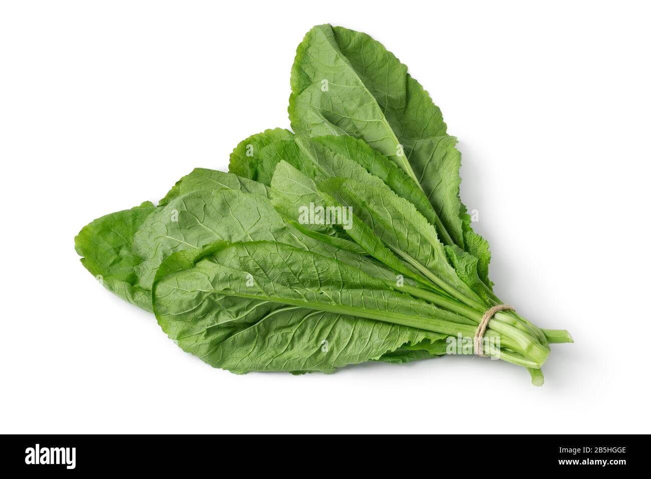 Bunch of fresh raw amsoi leaves isolated on white background Stock Photo