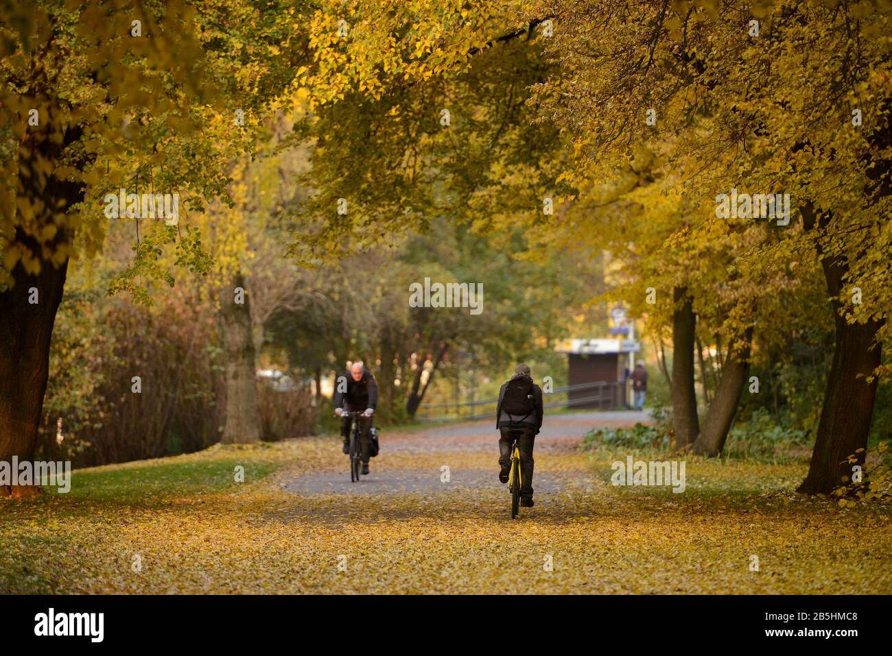 Radfahrer, Tiergarten, Mitte, Berlin, Deutschland Stock Photo