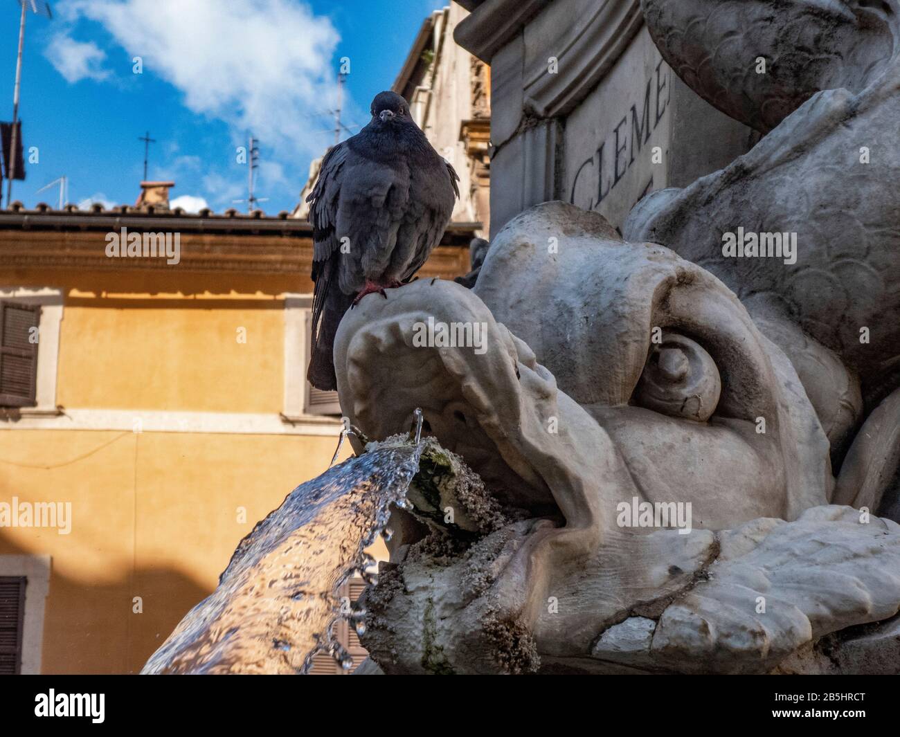 View of Rome, Italy. Detail of Pantheon Fountain with pigeon. Stock Photo