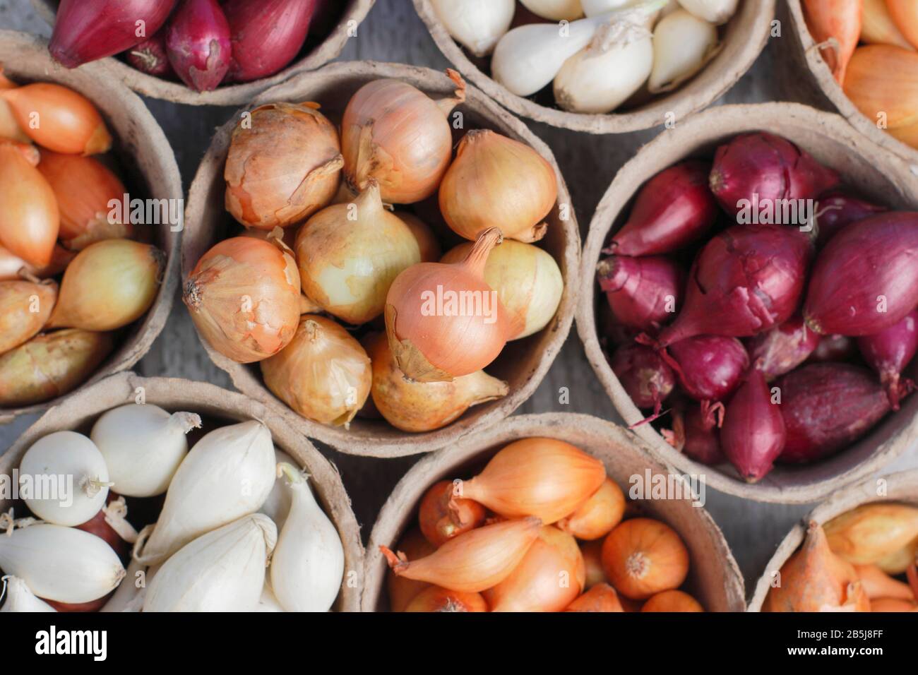 Know Your Onions High Resolution Stock Photography and Images - Alamy
