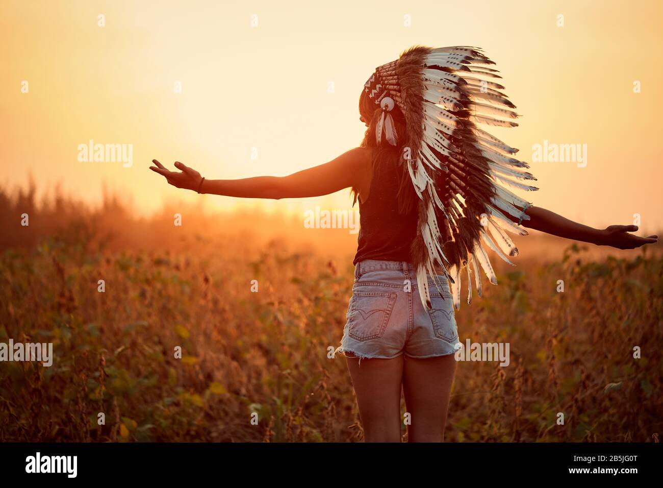 Beautiful native american woman hi-res stock photography and images - Alamy