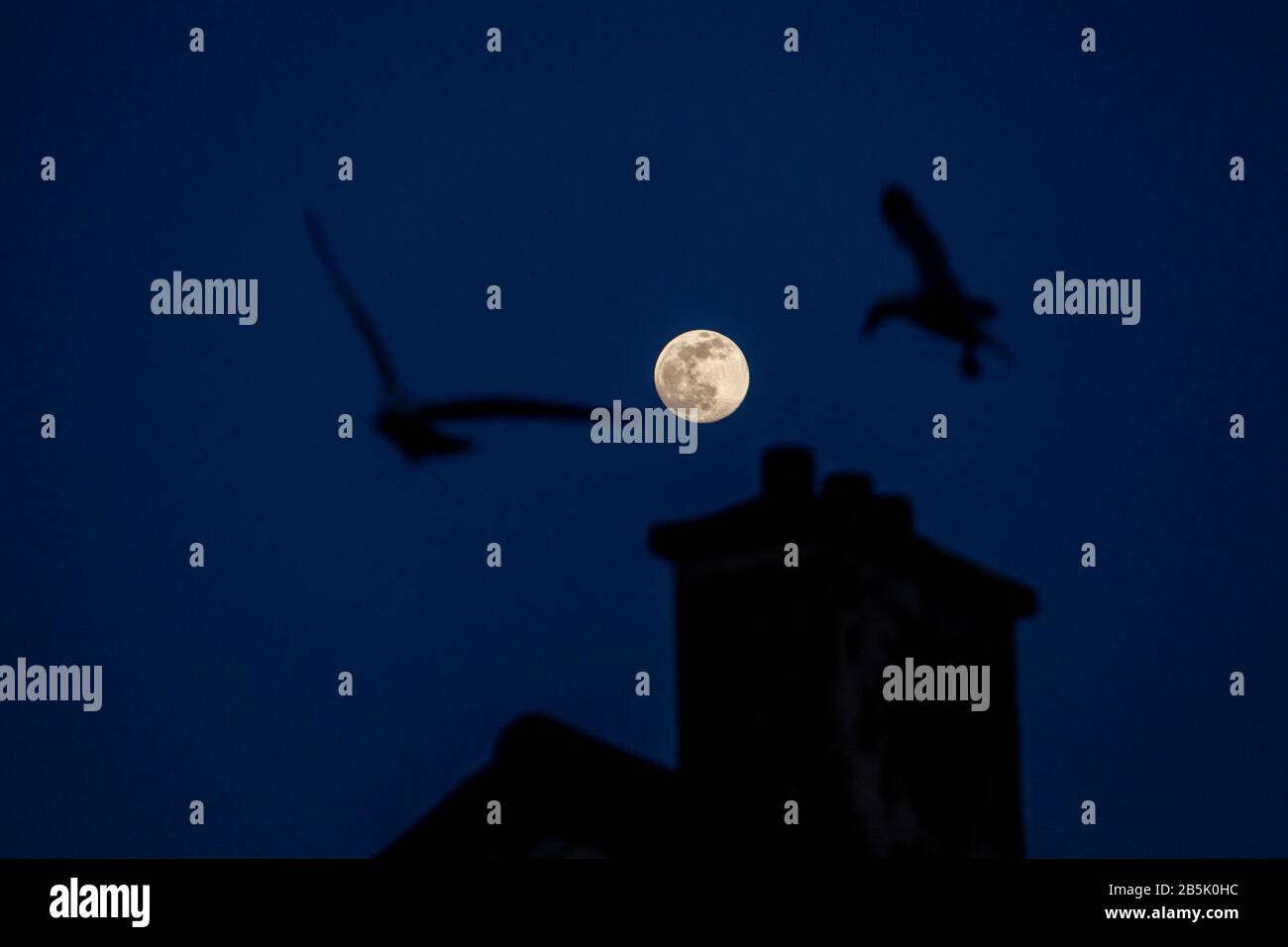 Penzance, Cornwall, UK. 8th March 2020. The Full Worm Super Moon silhouetted against the skyline  Credit: Mike Newman/Alamy Live News. Stock Photo