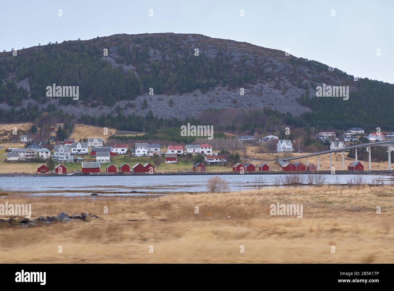Runde island, Norway' most southern breading ground for puffin birds Stock Photo