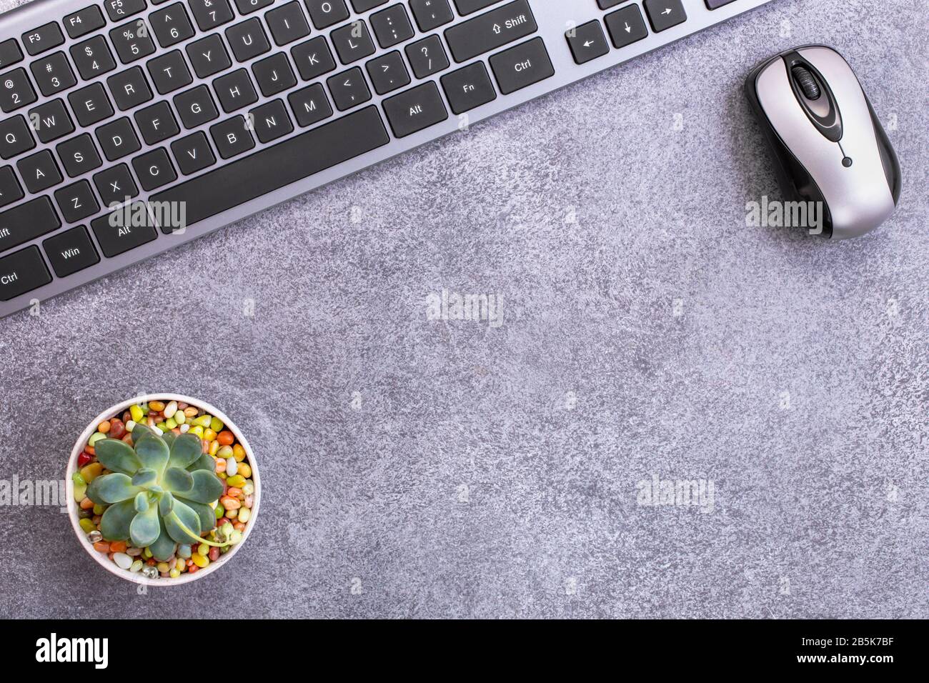 Keyboard with mouse and succulent top Stock Photo