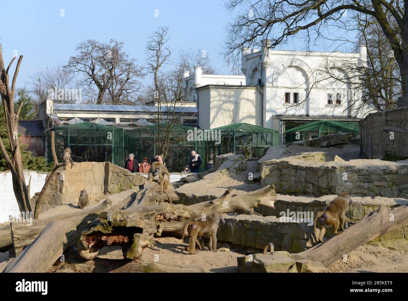 Affenfelsen, Zoo, Breslau, Niederschlesien, Polen Stock Photo