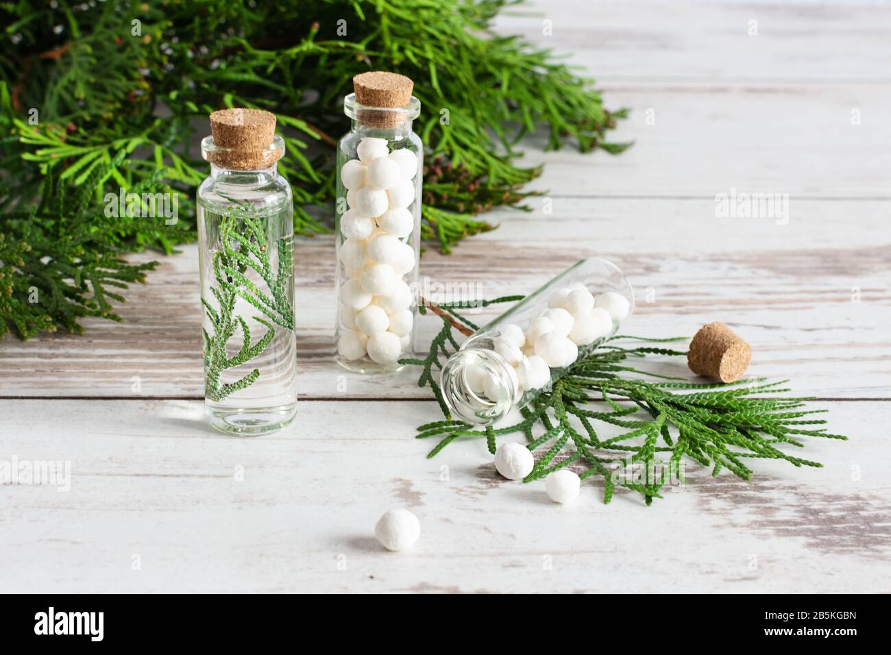Thuja herbal pills and fresh branches of thuja on white wooden table.  Bottles of homeopathic globules. Homeopathy medicine concept Stock Photo -  Alamy