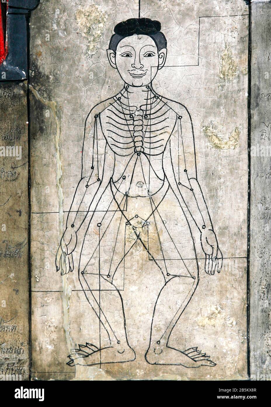 Acupressure points hi-res stock photography and images - Alamy