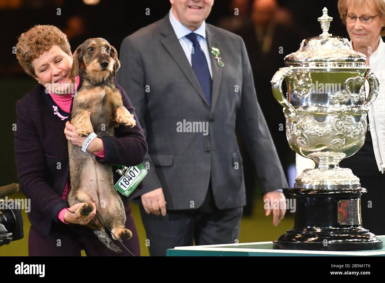 dachshund best in show