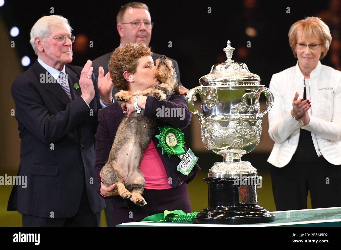 Maisie the Wire-haired Dachshund winner of Best in Show 2020 at the Birmingham National with her owner Kim McCalmont and presenter Peter Purvis (left) at the Exhibition Centre (NEC) during the Crufts Dog Show. Stock Photo