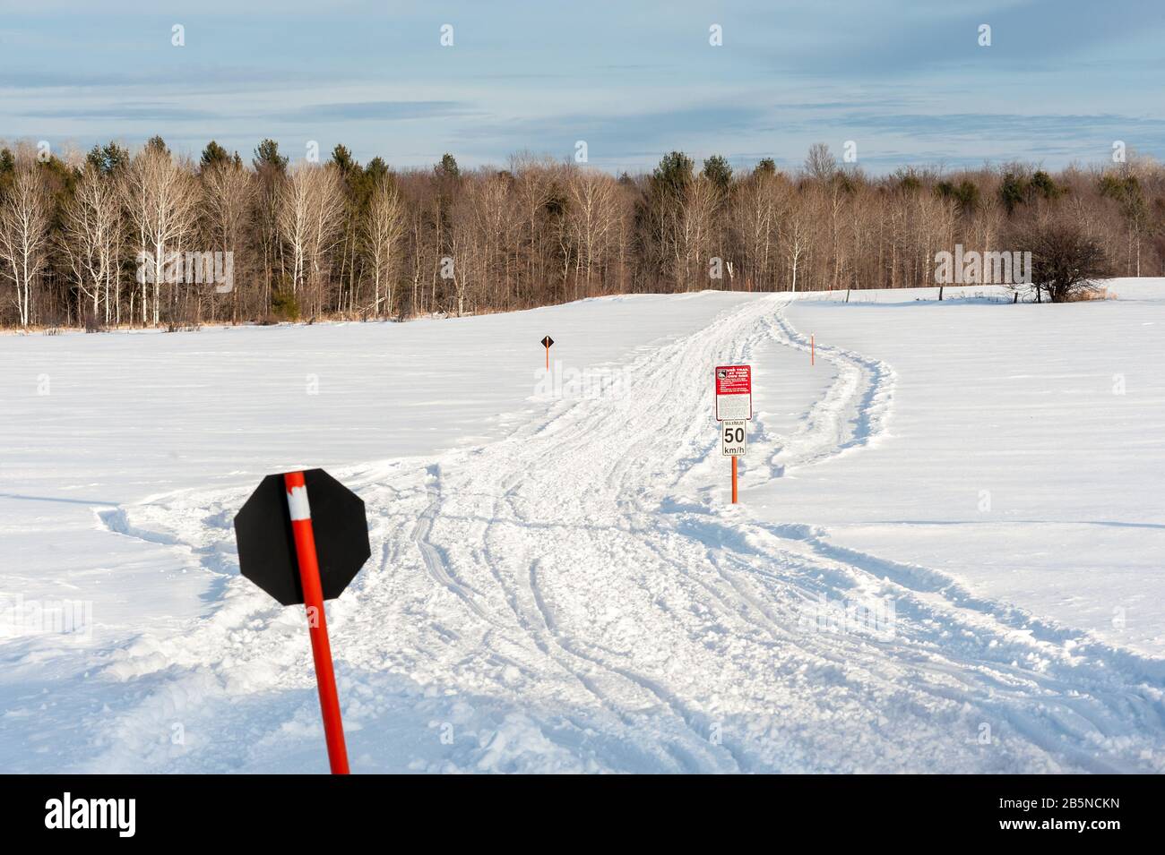 Snowmobile trail through a field and towards a forest. Stock Photo