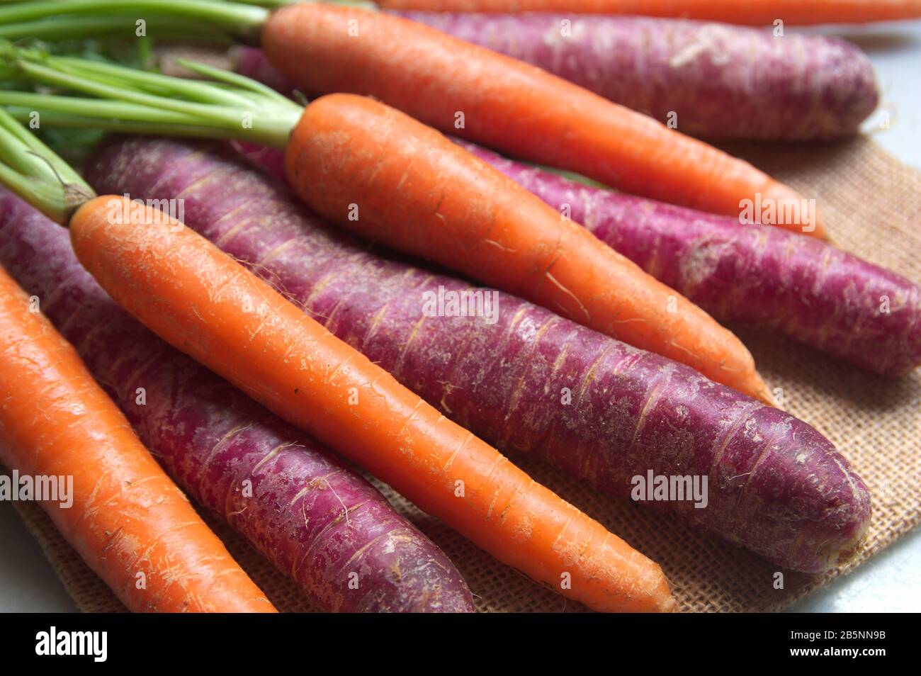 Purple and orange carrots on a brown sackcloth with natural window light Stock Photo
