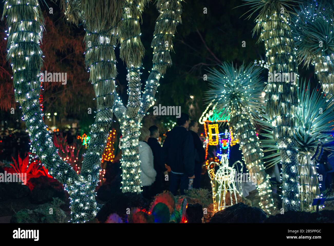 Botanical Cactus Garden las vegas. dec, 2019 Colorful light display