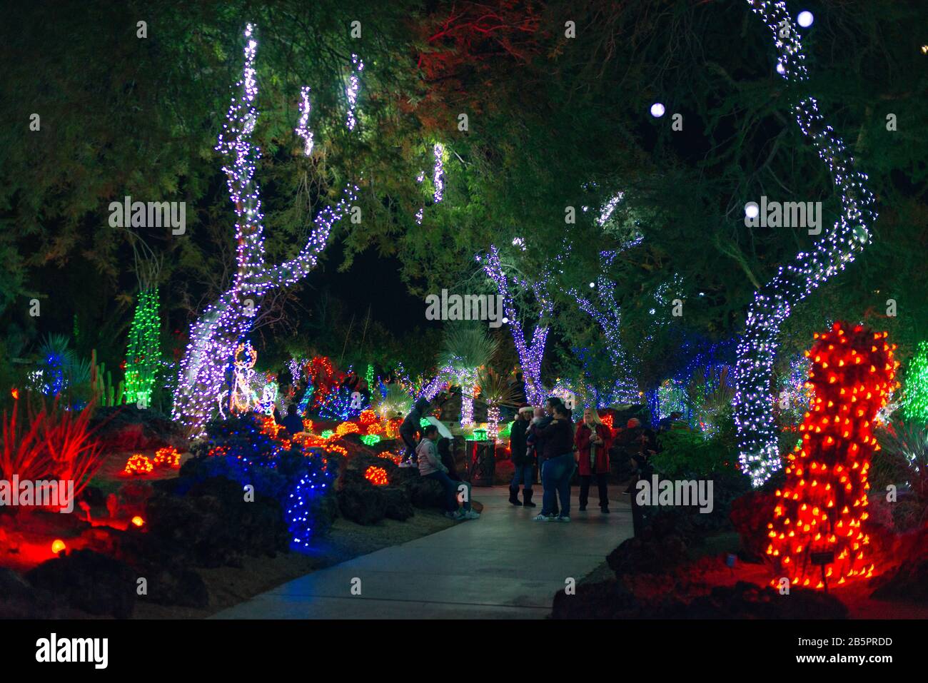 Botanical Cactus Garden las vegas. dec, 2019 Colorful light display