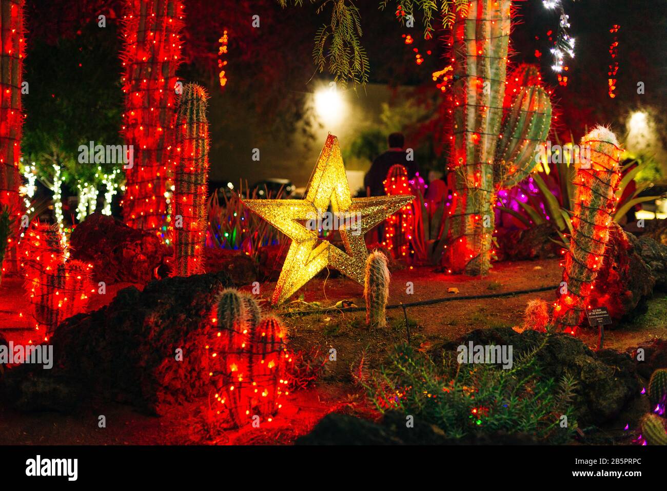 Botanical Cactus Garden las vegas. dec, 2019 Colorful light display