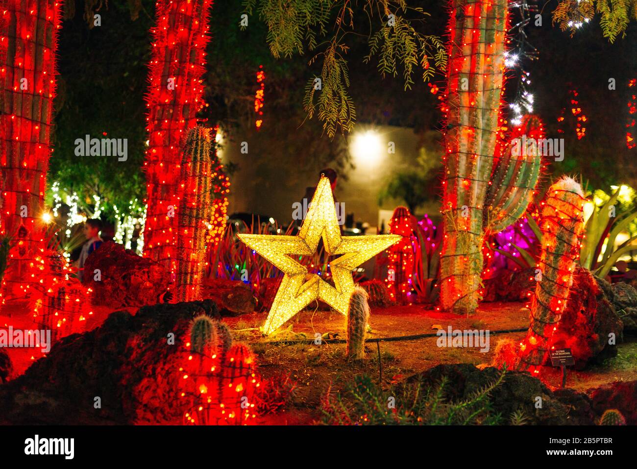 Botanical Cactus Garden las vegas. dec, 2019 Colorful light display