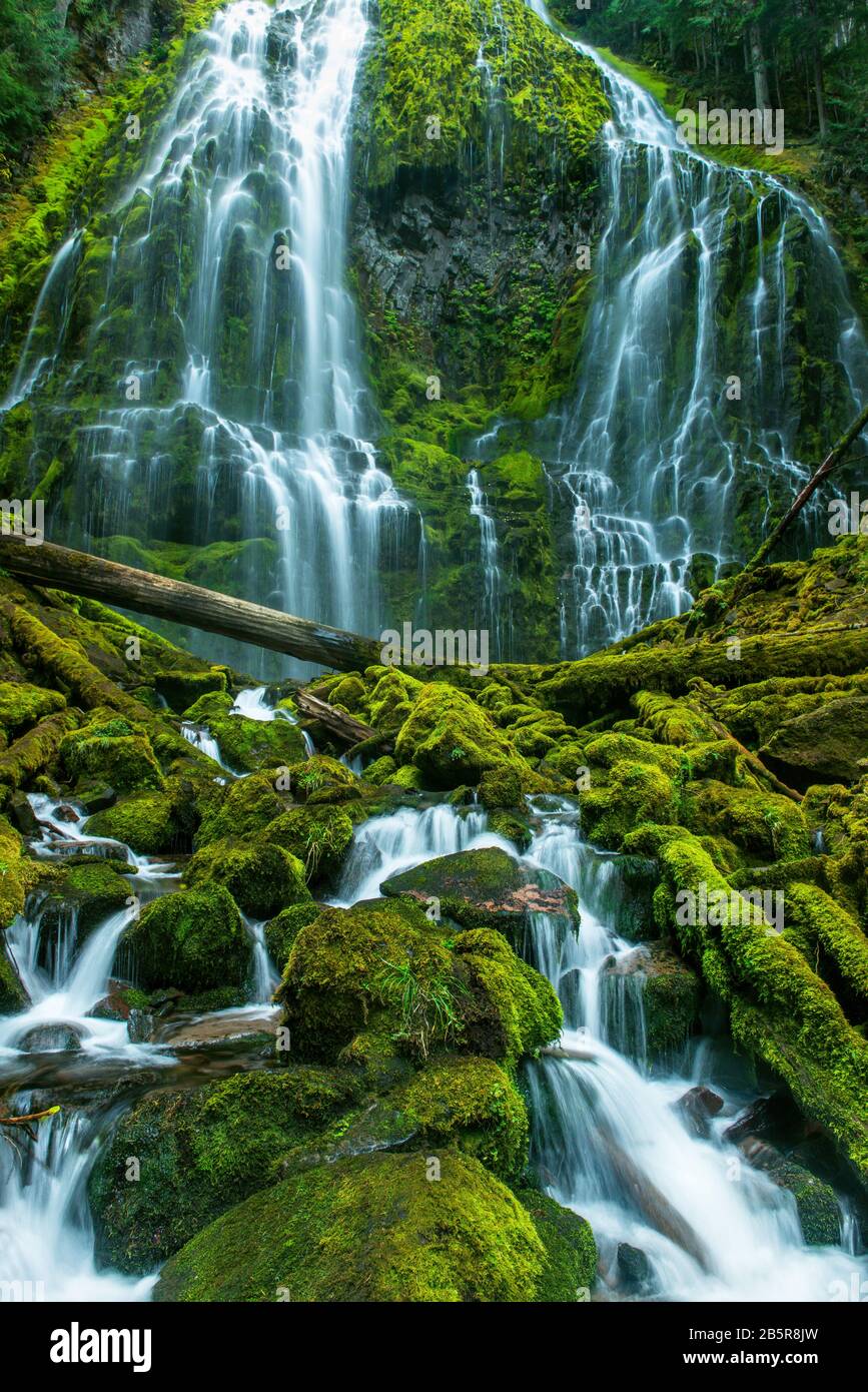Proxy Falls, Three Sisters Wilderness, Willamette-Deschutes National Forest, Oregon Stock Photo