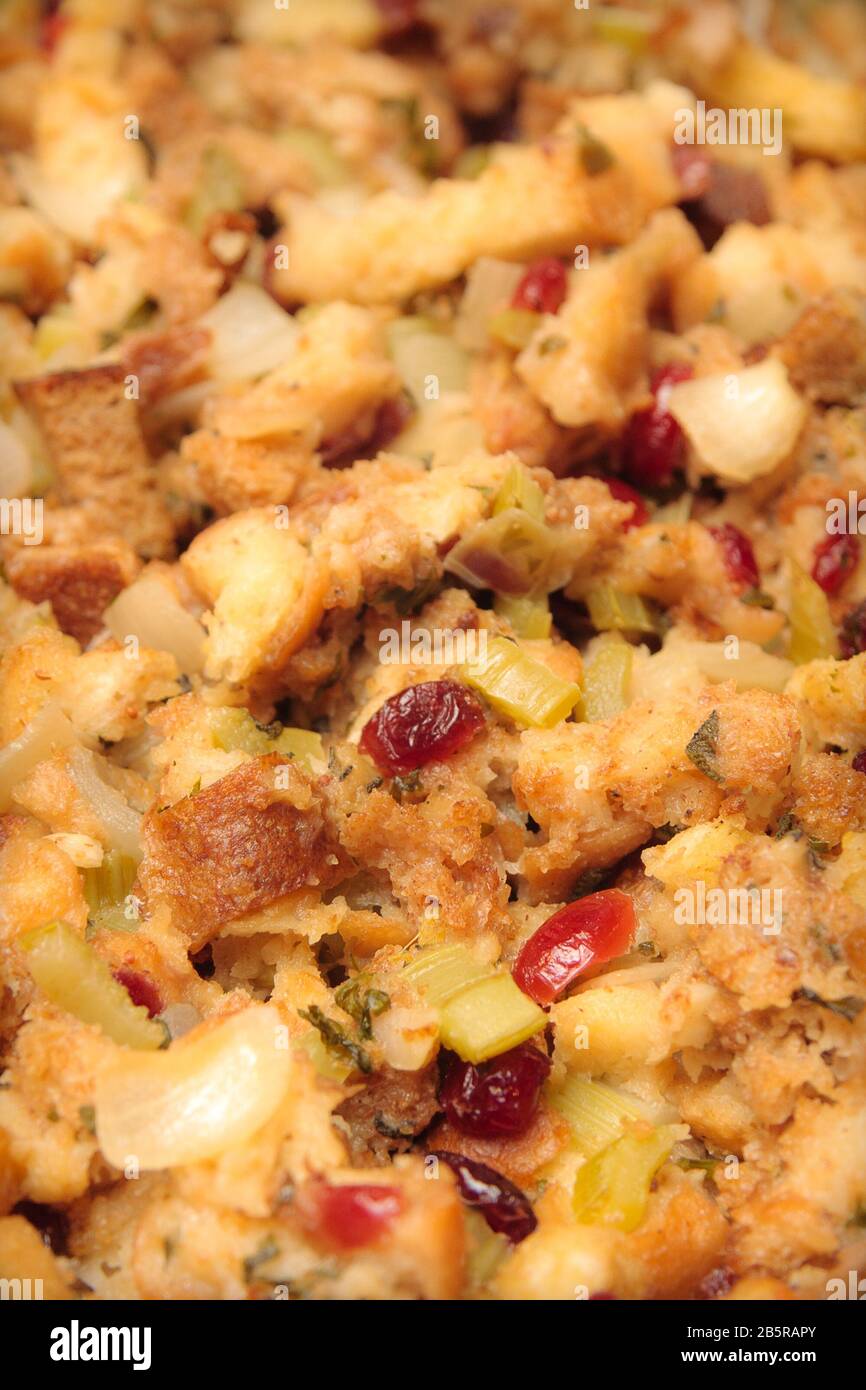 Close Up of Stuffing with Cranberries Stock Photo