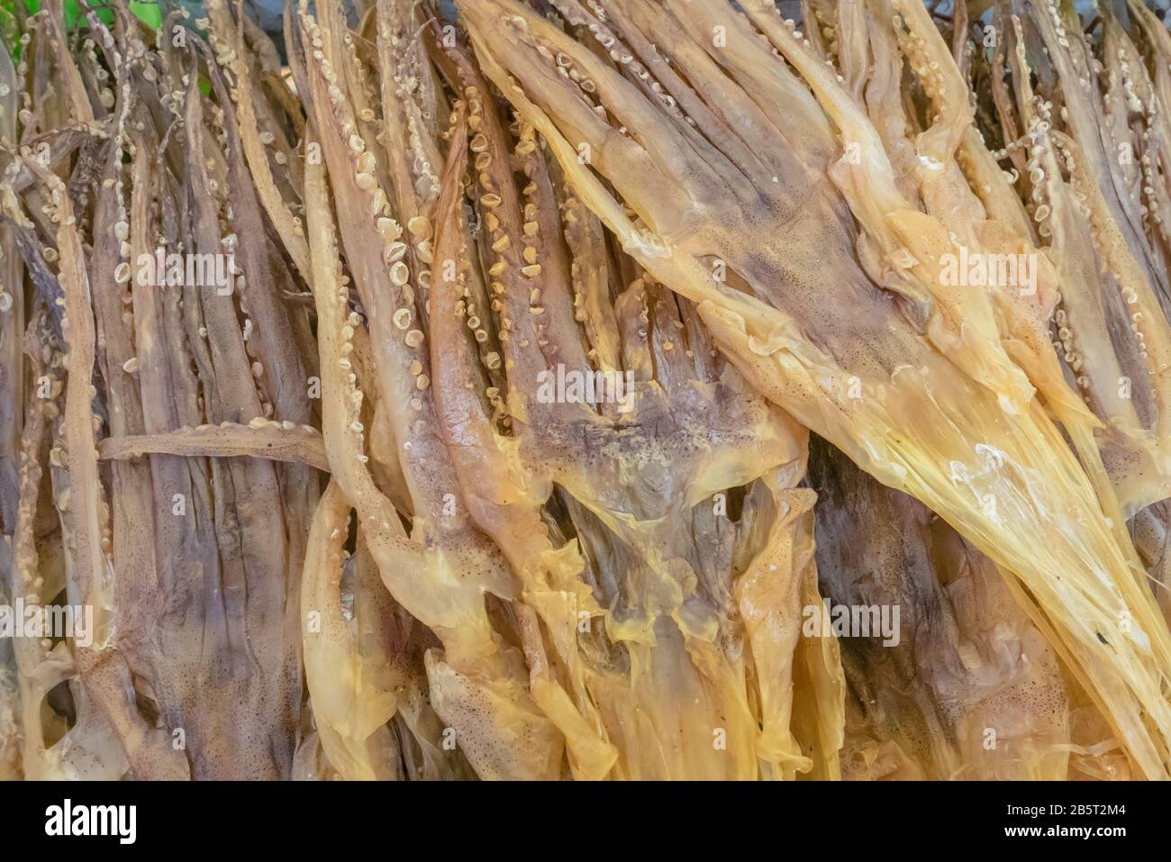 Dried squid seafood hires stock photography and images Alamy