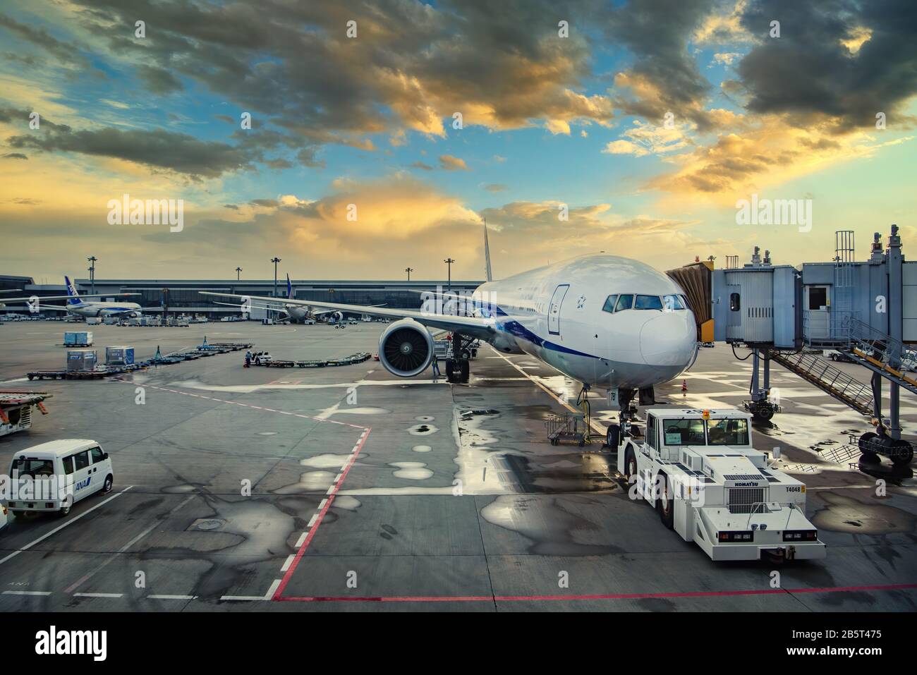 All Nippon Airways ANA Boeing 767 at Narita International Airport, Tokyo, Japan Stock Photo