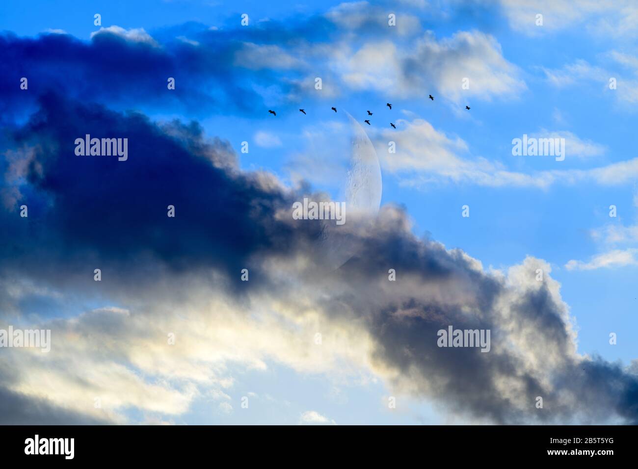 Full Moon Is Rising in the Night Sky While Birds are Silhouetted Against a Fantasy Like Cloudscape Stock Photo