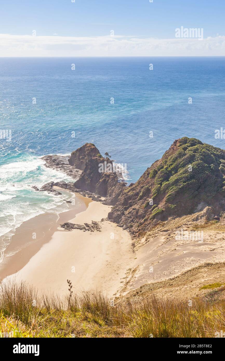 A rocky point in North Island, New Zealand, known as Te Reinga, with an