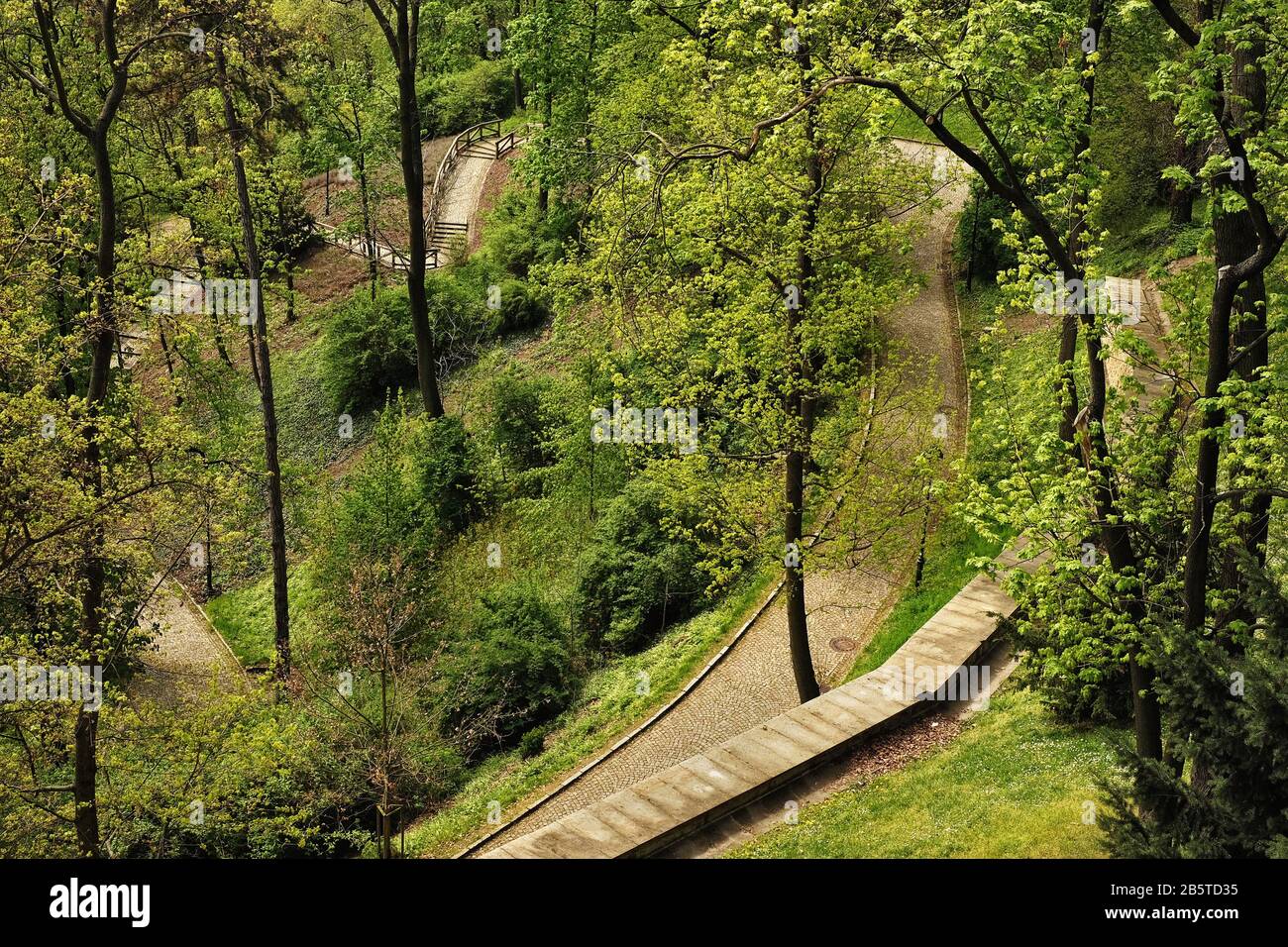 Tall thin trees, leafy green spring foliage, a zig zag switchback pathway winds down the steep hillside, Kinsky Garden, south-eastern slope of Petřín Stock Photo