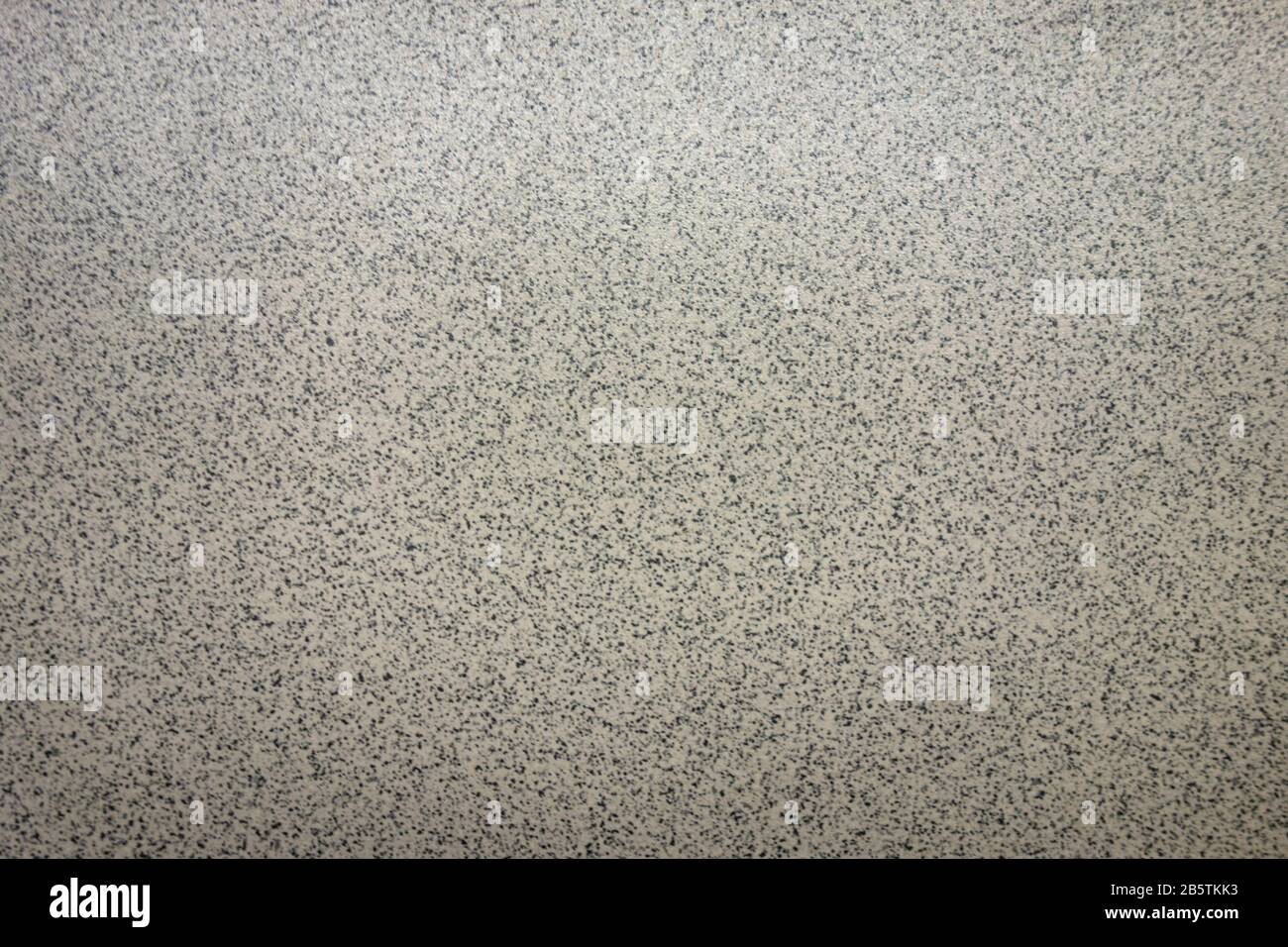 Gray textured background. Small plain dots grunge backdrop wall. Design pattern template with copy space Stock Photo