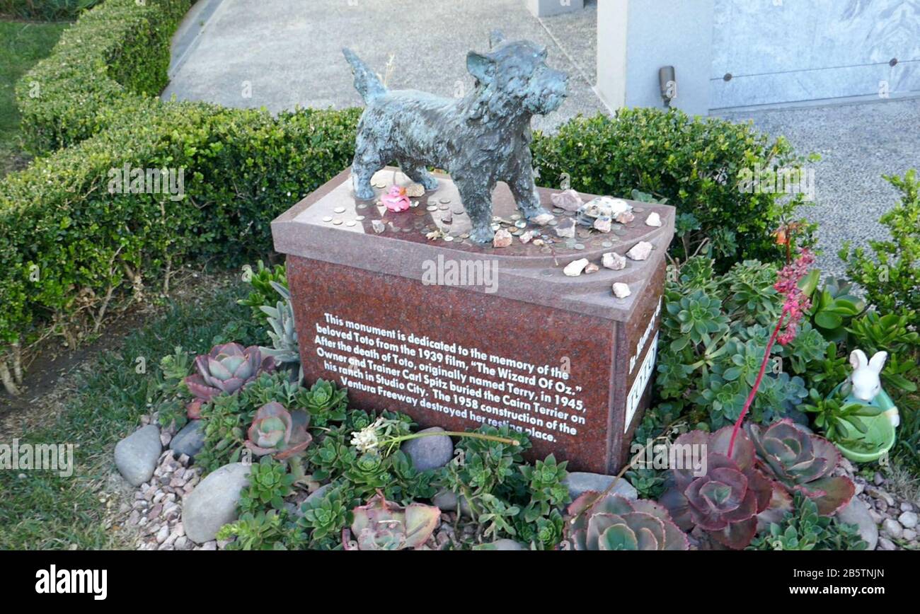 Toto Wizard Of Oz High Resolution Stock Photography And Images Alamy