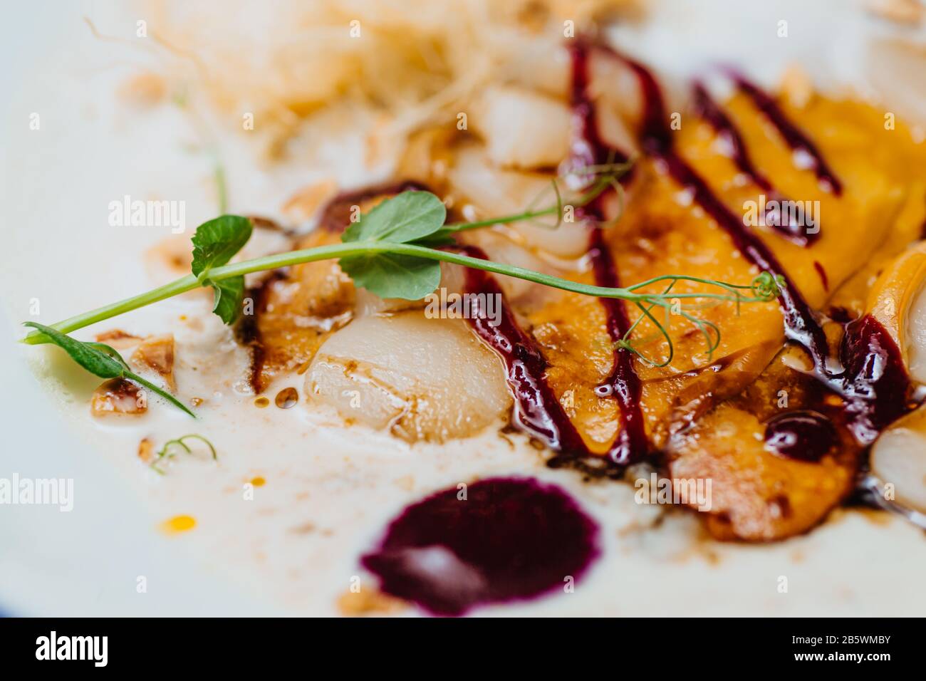 Scallop ceviche and foie gras with hazelnut, ready to serve. Stock Photo