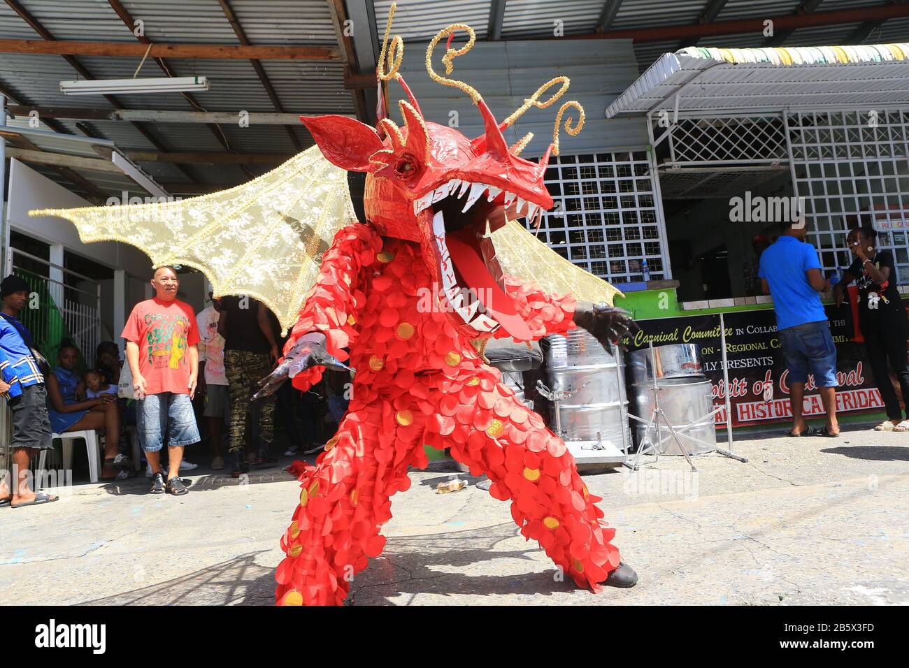 PORT OF SPAIN, TRINIDAD FEB 21 Veteran masquerader Theron Williams