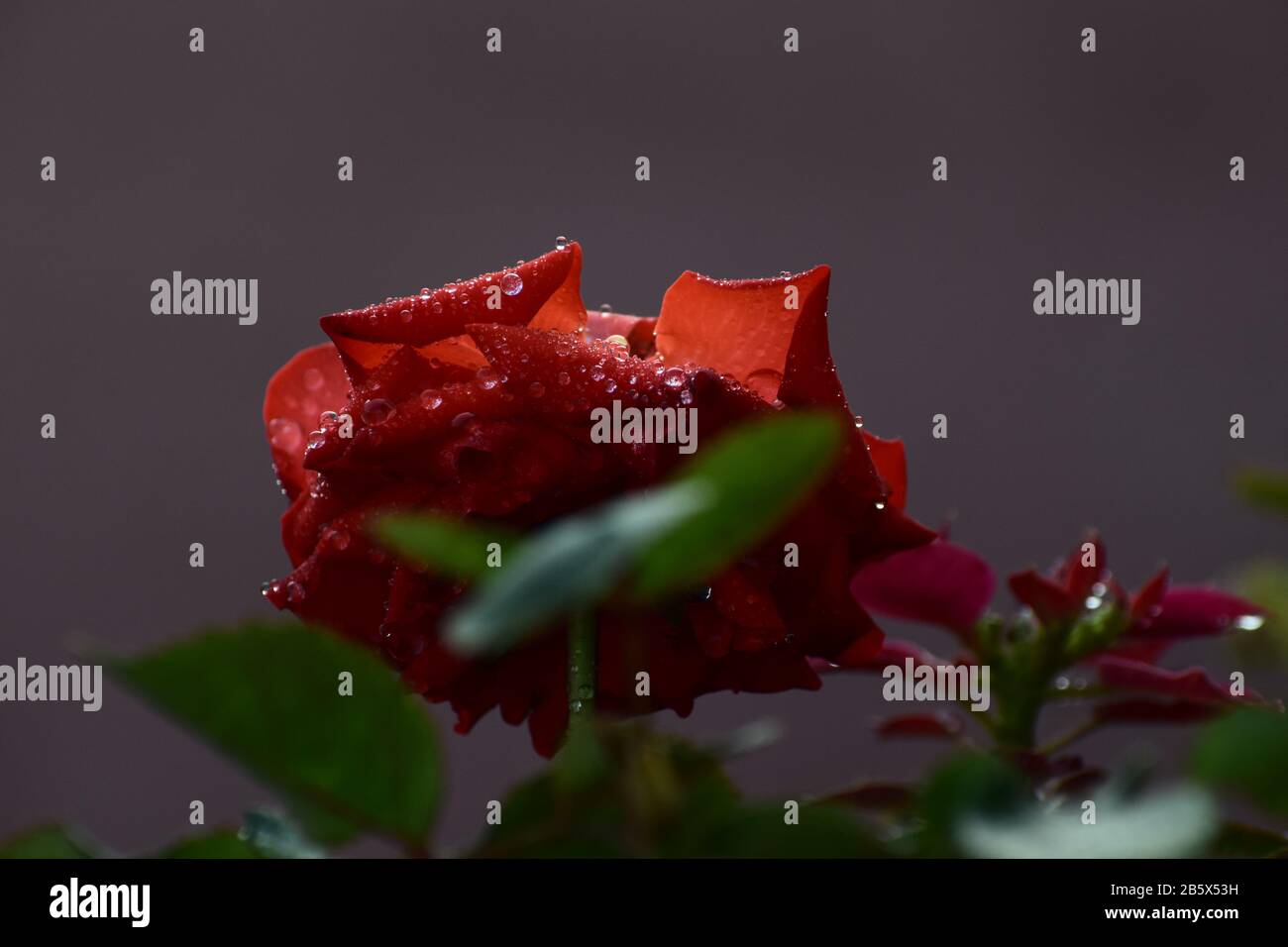 see the world through my lens Stock Photo