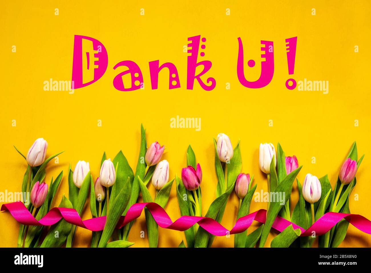 Colorful Tulip Dank U Means Thank You Ribbon Yellow Background Stock Photo Alamy