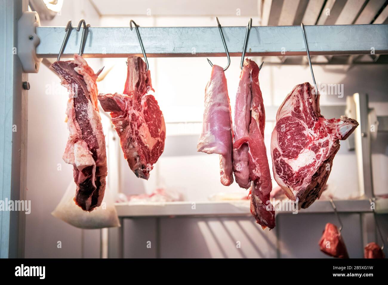 Pieces of fresh beef meet hanging on metal hooks in butchery refrigerator room, viewed from low angle Stock Photo