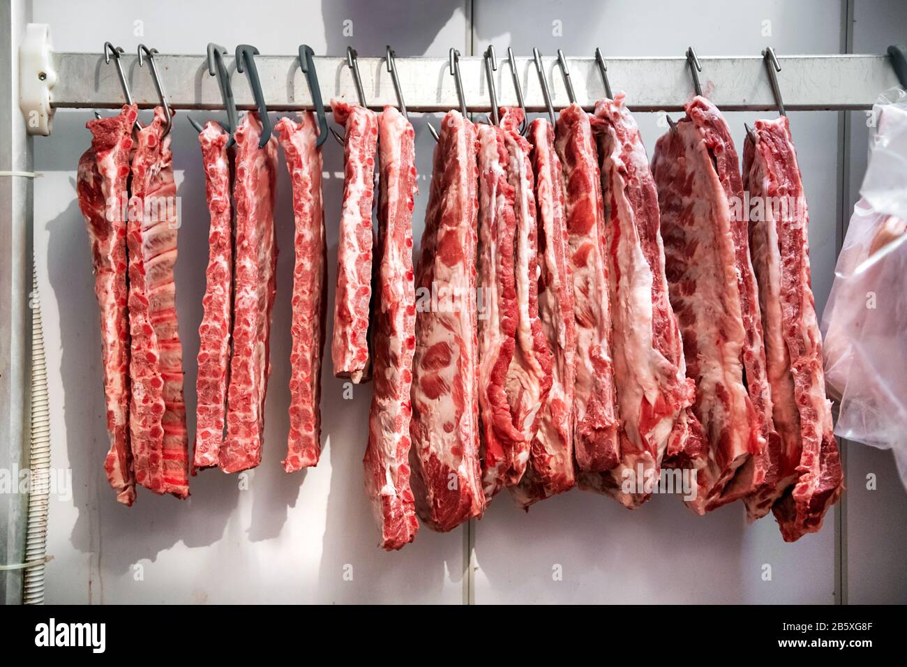 Row of fresh raw pork ribs hanging in refrigerator on metal hooks in butchery or restaurant kitchen Stock Photo