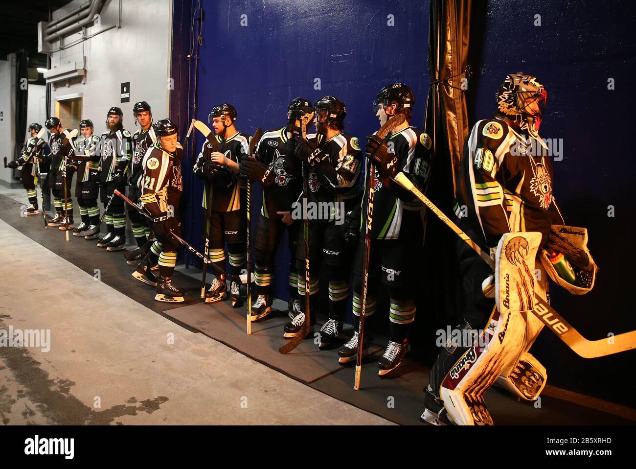 Chicago Wolves players line up in the tunnel during an AHL Illinois Lottery Cup game against the Rockford IceHogs, Sunday, March 8, 2020, in Rosemont, Ilinois, USA. (Photo by IOS/ESPA-Images) Stock Photo