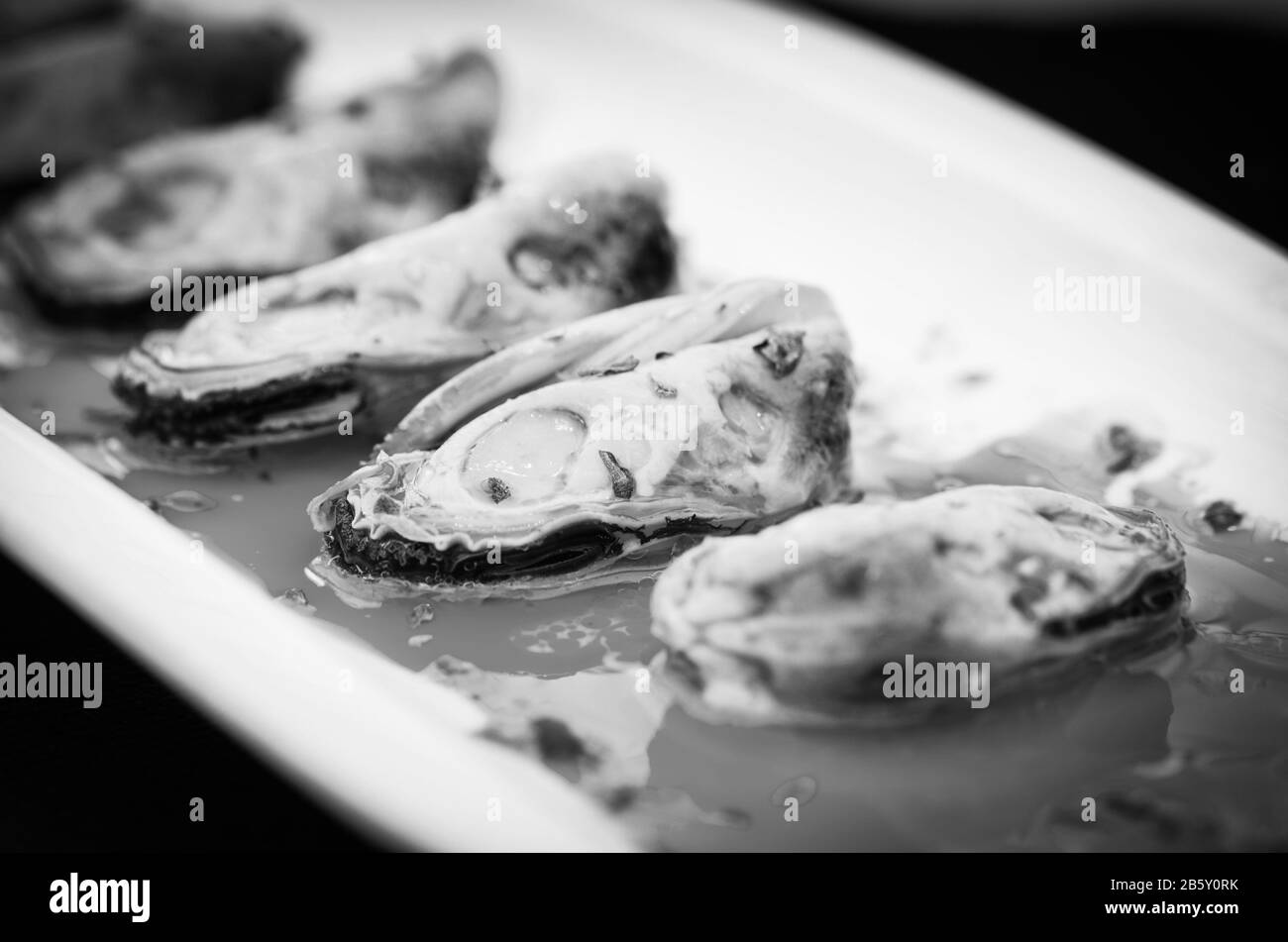 marinated shells with lemon juice & fresh spices Stock Photo Alamy