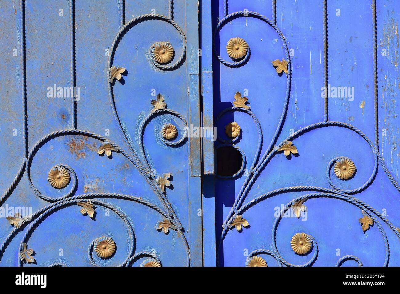 Detail of blue weathered metal gate with plant like ornaments and rusty ...