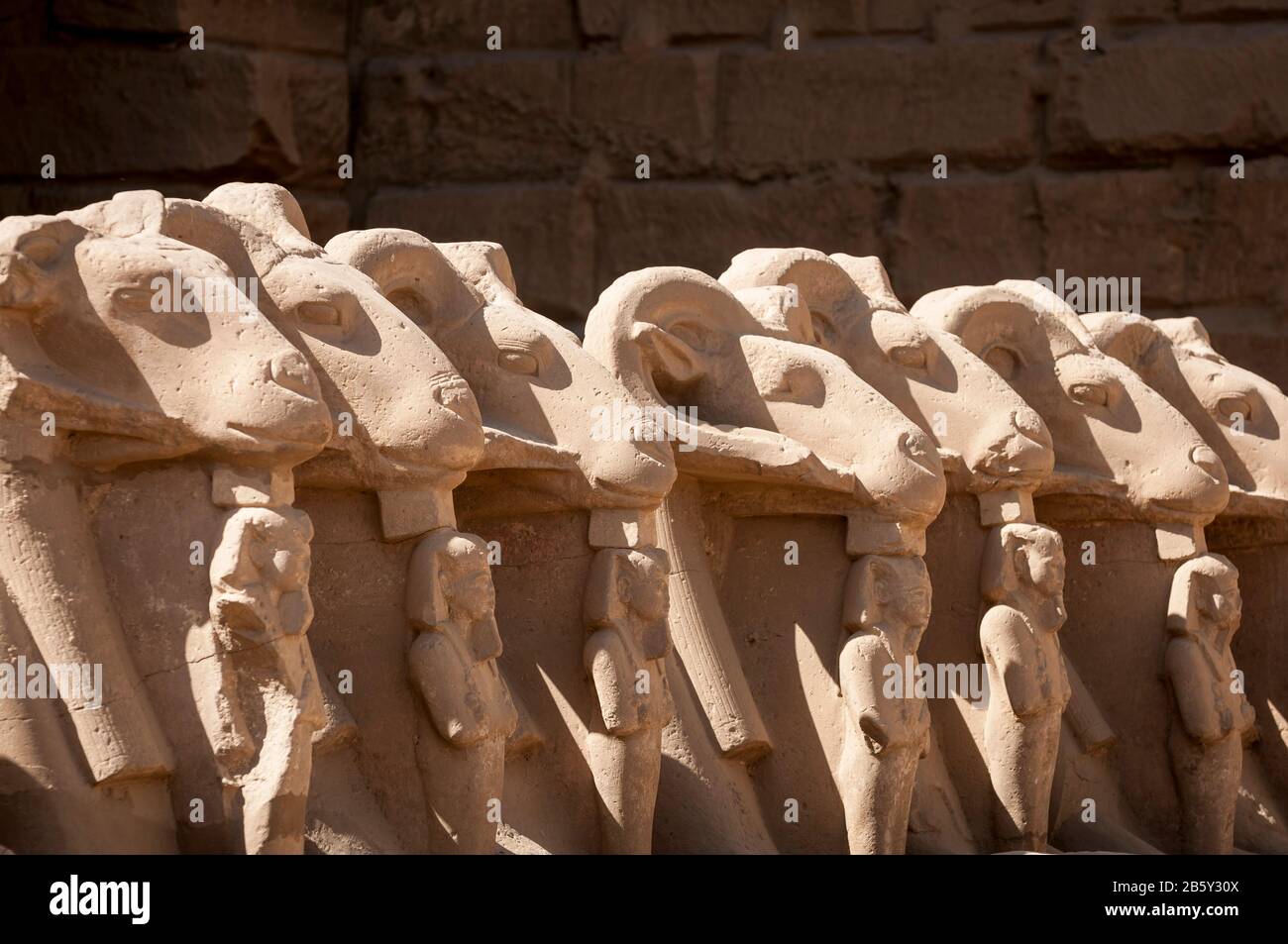 Sunny view of ram-headed sphinxes standing in a row at the Alley of Sphinxes leading to the Temple of Karnak in Luxor, Egypt Stock Photo