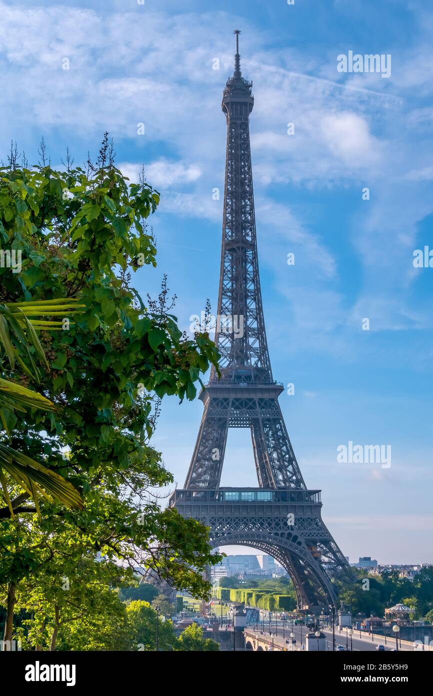 France. Summer sunny morning in Paris. Eiffel tower and green trees