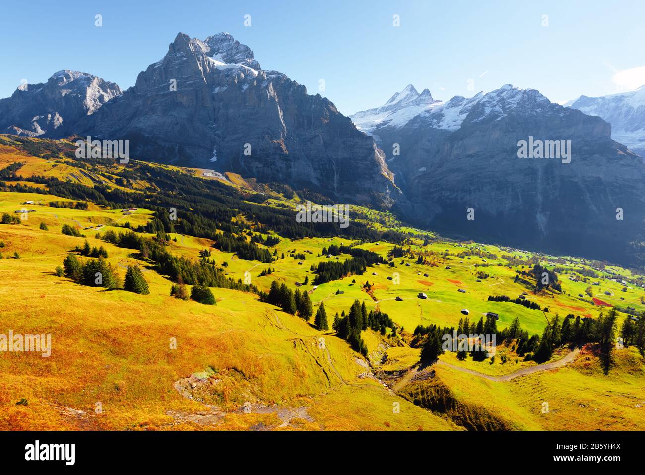 Picturesque autumn landscape with green meadow and blue snowy mountains in Grindelwald village in Swiss Alps Stock Photo