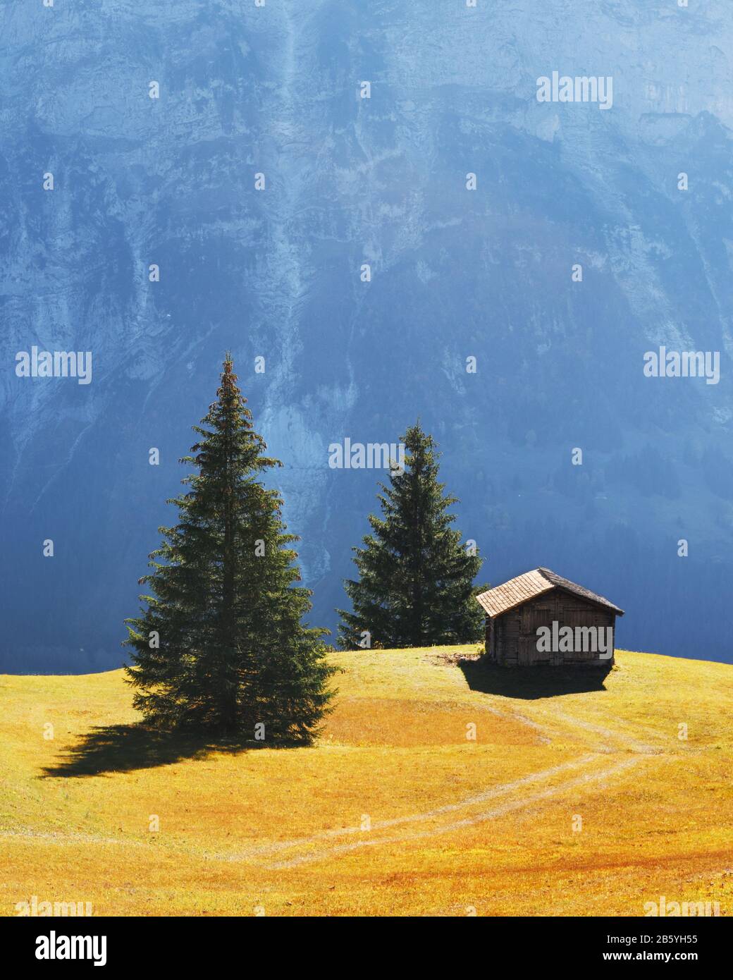 Picturesque autumn landscape with wooden cabin on green meadow and firtrees in Grindelwald village in Swiss Alps Stock Photo